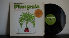 Mother Earth’s Plantasia: la musica che fa bene alle piante